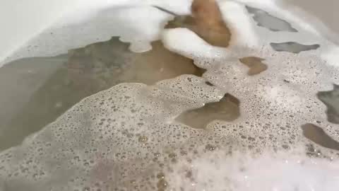 Monad online show from 11-10-25, 09:03