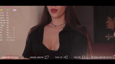 Snapshot of mamiemeow chatting on 02-06-25, 02:48 Your Miss Alice online show from 02-06-25, 02:48