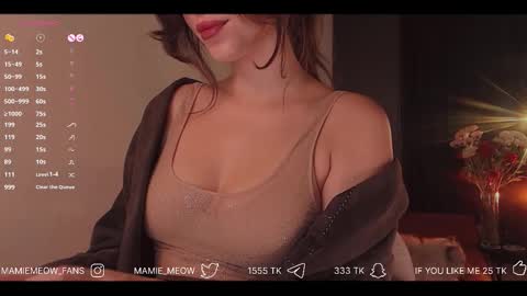 Snapshot of mamiemeow chatting on 12-02-25, 04:51 Your Miss Alice online show from 12-02-25, 04:51