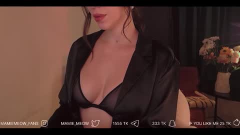 Snapshot of mamiemeow chatting on 02-03-26, 03:17 Your Miss Alice online show from 02-03-26, 03:17