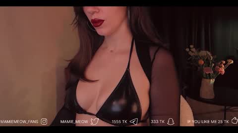 Snapshot of mamiemeow chatting on 02-27-26, 06:08 Your Miss Alice online show from 02-27-26, 06:08