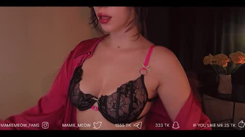 Snapshot of mamiemeow chatting on 03-16-26, 08:29 Your Miss Alice online show from 03-16-26, 08:29