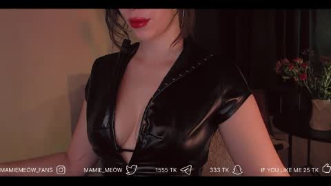 Snapshot of mamiemeow chatting on 04-01-26, 06:03 Your Miss Alice online show from 04-01-26, 06:03
