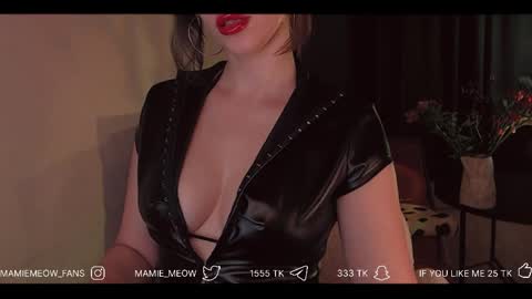 Snapshot of mamiemeow chatting on 04-01-26, 01:41 Your Miss Alice online show from 04-01-26, 01:41
