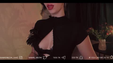 Snapshot of mamiemeow chatting on 04-02-26, 03:31 Your Miss Alice online show from 04-02-26, 03:31