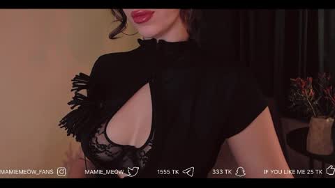 Snapshot of mamiemeow chatting on 04-03-26, 01:53 Your Miss Alice online show from 04-03-26, 01:53