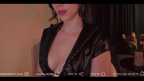 Snapshot of mamiemeow chatting on 04-04-26, 04:15 Your Miss Alice online show from 04-04-26, 04:15