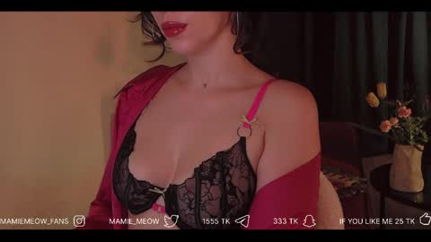 Snapshot of mamiemeow chatting on 04-07-26, 12:16 Your Miss Alice online show from 04-07-26, 12:16