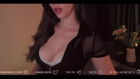 Snapshot of mamiemeow chatting on 04-10-26, 06:07 Your Miss Alice online show from 04-10-26, 06:07