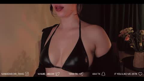 Snapshot of mamiemeow chatting on 04-15-26, 06:26 Your Miss Alice online show from 04-15-26, 06:26
