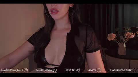 Snapshot of mamiemeow chatting on 06-06-26, 05:23 Your Miss Alice online show from 06-06-26, 05:23