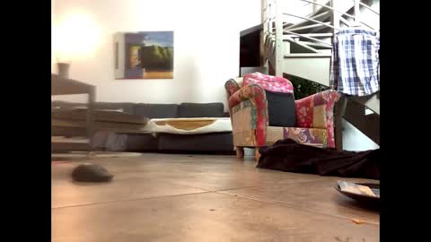 man38110 online show from 02-14-25, 06:51