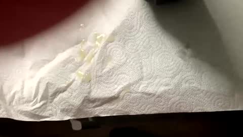 man4you888 online show from 02-20-25, 03:08