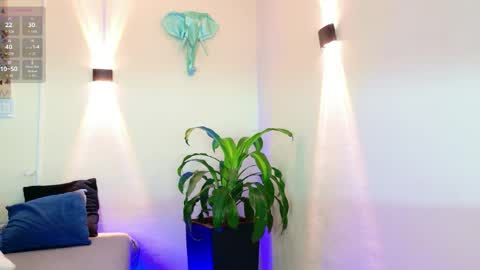 Snapshot of mandyminx66 chatting on 05-06-26, 08:36 Mandy Val online show from 05-06-26, 08:36
