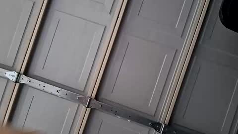 Jan and Man online show from 04-29-26, 12:09