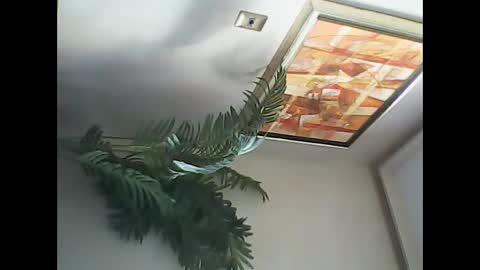 Snapshot of manu_481 chatting on 03-07-25, 06:54 manu_481 online show from 03-07-25, 06:54