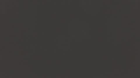 Manuel RL online show from 02-13-25, 11:17