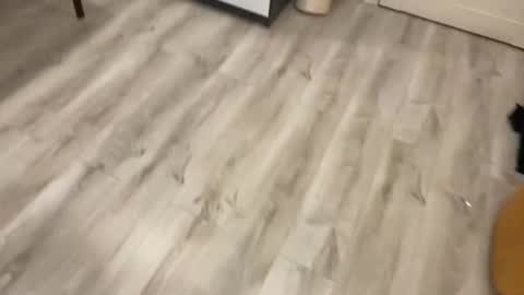 alex marvelxx online show from 02-05-26, 06:12