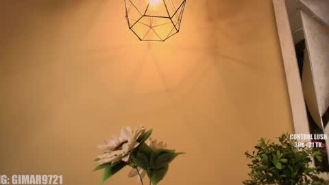 Marcela online show from 09-23-25, 11:41