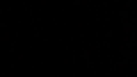 Elle online show from 10-11-25, 02:26