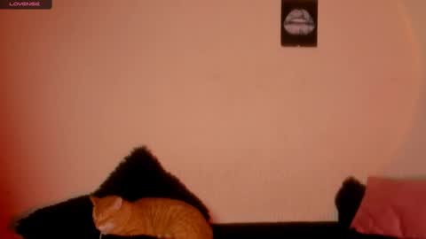 Snapshot of marianawlls chatting on 02-22-25, 01:00 mariana williams online show from 02-22-25, 01:00