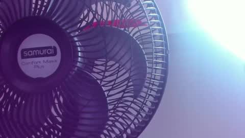 Marie online show from 12-22-24, 12:07