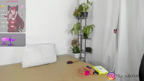 marioandmia online show from 03-08-26, 06:39