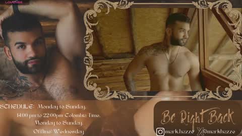 Mark online show from 01-31-25, 03:30