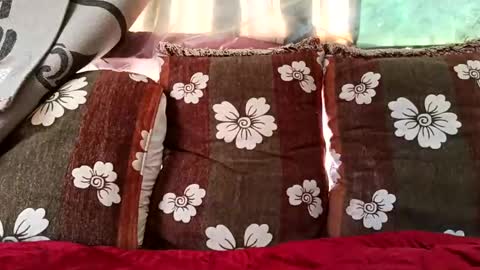 marocreda33 online show from 02-10-25, 10:20