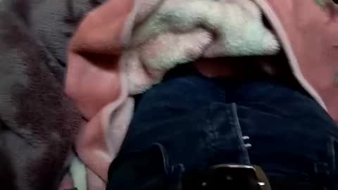 marocreda33 online show from 03-11-25, 05:57