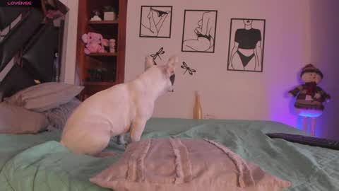 Mar online show from 01-03-25, 04:11