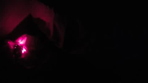 martamoontrans online show from 10-08-25, 01:25