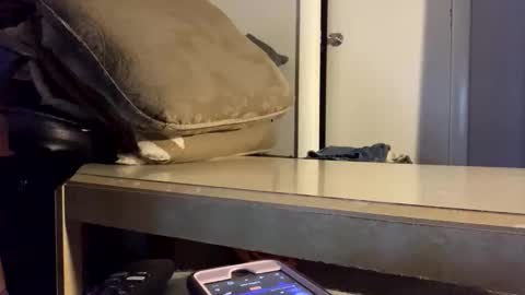 Snapshot of martasub chatting on 12-15-25, 04:11 martasub online show from 12-15-25, 04:11