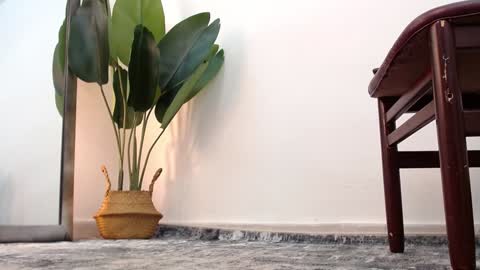 Snapshot of marthina_thompson chatting on 12-24-24, 04:08 marthina thompson online show from 12-24-24, 04:08