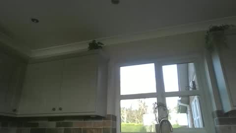 martinrgbxxxx online show from 02-23-26, 09:28