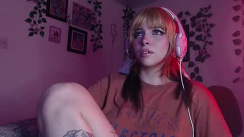                      100   online show from 12-19-24, 09:07