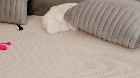 Mary Lepson online show from 01-14-25, 05:56