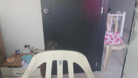 Snapshot of maryam_arabicmilk chatting on 01-08-25, 03:07 maryam_arabicmilk online show from 01-08-25, 03:07