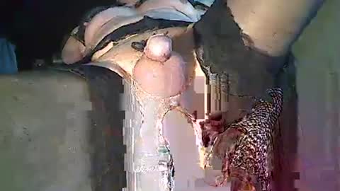 Snapshot of maschpro chatting on 12-26-24, 02:37 maschpro online show from 12-26-24, 02:37