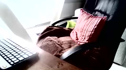 maskime59 online show from 12-09-24, 09:06