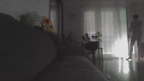 Snapshot of masoni_devil_take_xy chatting on 05-24-26, 01:49 Nikola online show from 05-24-26, 01:49