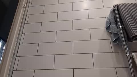 Bob online show from 10-14-25, 08:15