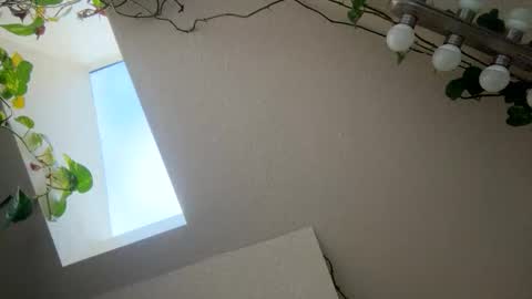 Snapshot of masturbatingmariamiller chatting on 11-28-25, 04:53 masturbatingmariamiller online show from 11-28-25, 04:53