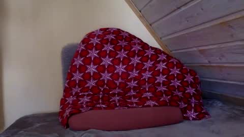 matko1492 online show from 03-02-26, 08:54