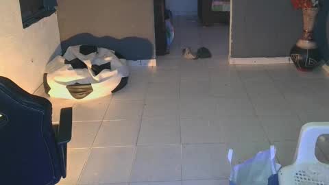 Snapshot of mattias_dantee chatting on 02-19-25, 02:12 mattias online show from 02-19-25, 02:12