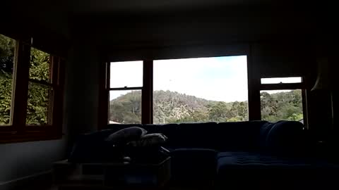 mattlesnake_101 online show from 02-15-26, 12:40