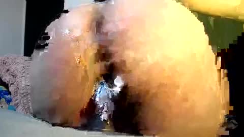 Snapshot of maturehornyxxxx chatting on 12-06-24, 05:31 cata online show from 12-06-24, 05:31