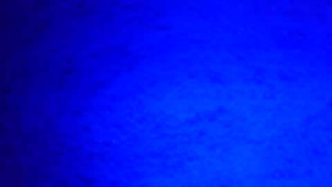 Ignacio online show from 12-29-24, 08:22