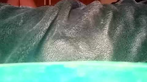 Ignacio online show from 01-12-25, 01:37