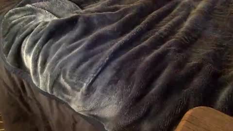 Ignacio online show from 10-09-25, 03:59